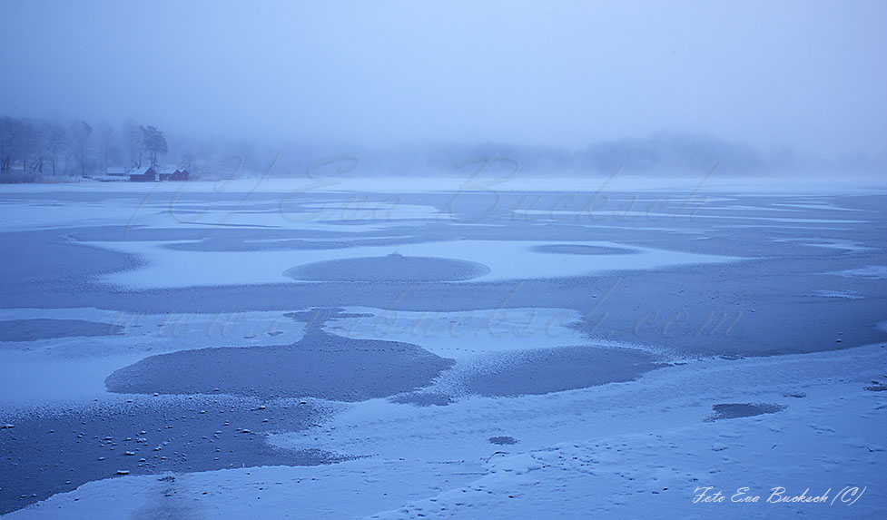 Foto av Eva Bucksch